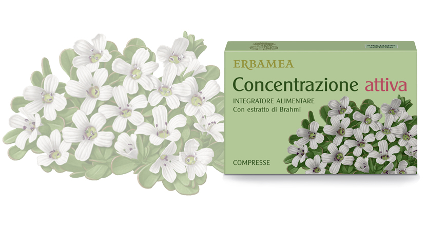 CONCENTRAZIONE ATTIVA 24 compresse 1050 mg in blister