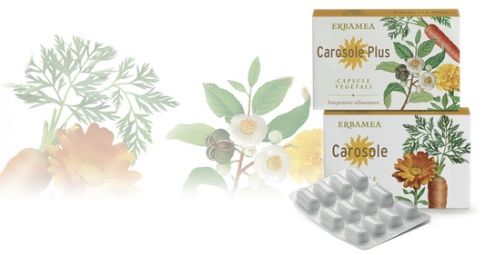 CAROSOLE PLUS 24 capsule vegetali 420 mg in blister