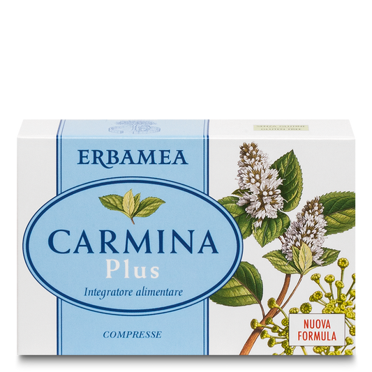 CARMINA PLUS 24 compresse 800 mg in blister