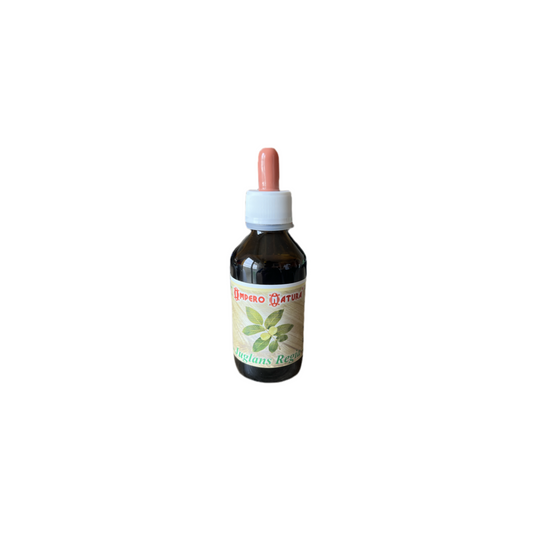 Juglans Regia 100ml