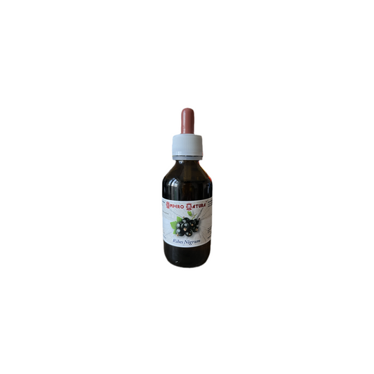 Ribes Nigrum 100ml