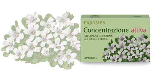 CONCENTRAZIONE ATTIVA 24 compresse 1050 mg in blister